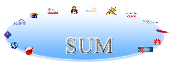 SUM 服务器监控软件 - zhuzhu - 五事九思 (大连Linux主机维护)